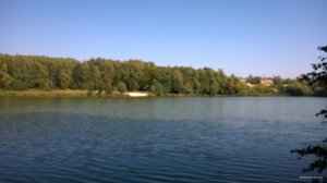 WP_20180914_009.jpg