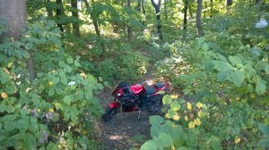 WP_20180914_011.jpg