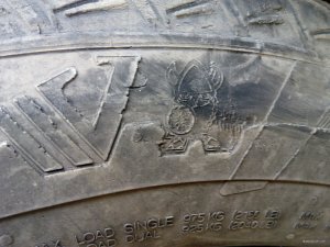 IMG_20180915_095400.jpg