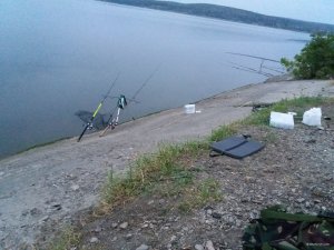 20180915_055958.jpg