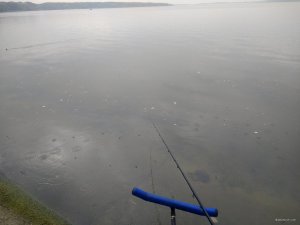 IMG_20180916_091210062.jpg