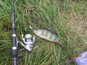 IMG_0448.JPG