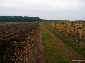 P80916-101309.jpg