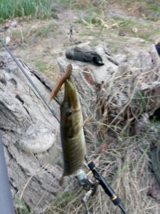 IMG_20180918_174045_1.jpg