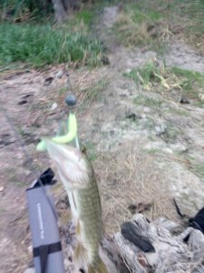 IMG_20180918_181659.jpg