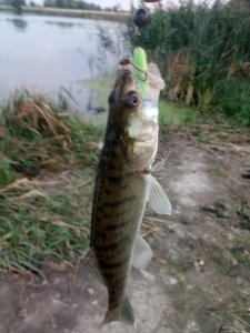 IMG_20180918_182124.jpg