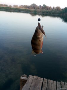 IMG_20180920_181030.jpg