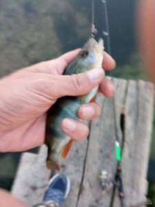 IMG_20180920_182655.jpg