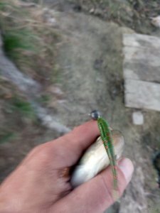 IMG_20180920_182910.jpg