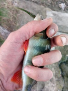 IMG_20180920_182912.jpg