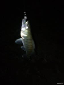 IMG_20180920_192226.jpg