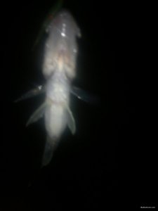 IMG_20180920_211844.jpg