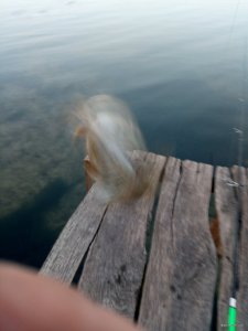 IMG_20180920_182252.jpg