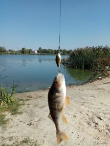 IMG_20180921_122430.jpg