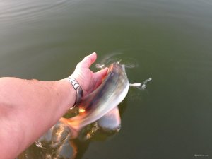 IMG_4800.JPG
