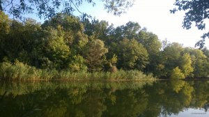 WP_20180922_007.jpg