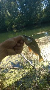 WP_20180922_002.jpg