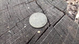 93825.jpg