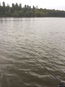 IMG_1320.JPG