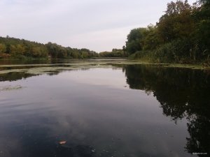 20180923_083118.jpg