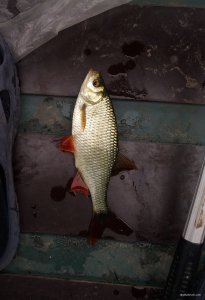 20180923_093446.jpg