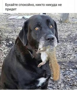 image-0-02-05-010b22492cbd1ae44f1ff0ce6ce4ccf56e2826bef46e9ecbfca4aef0ef779883-V.jpg