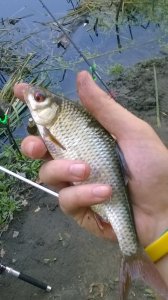 WP_20180922_16_13_14_Pro.jpg