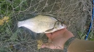 WP_20180922_16_42_03_Pro.jpg