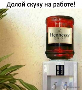 image-0-04-04-d02d8e4b0929db54ed52c6722b9a5d03e3e58f56fe4356145bbb0d05c01ee071-V.jpg