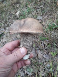 20180929_091426.jpg