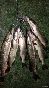 20180928_184758.jpg