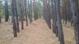 20180929_065712.jpg