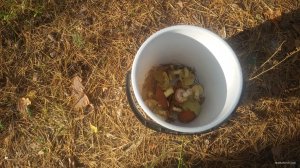 20180929_092128.jpg