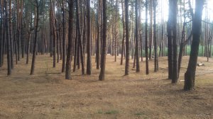 20180929_083614.jpg
