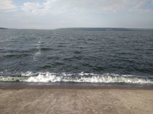 IMG_20180929_091931974.jpg
