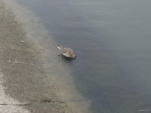 IMG_20180929_134800241_BURST001.jpg