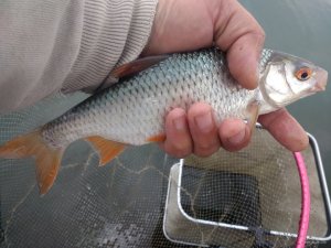 IMG_20180929_133619114.jpg