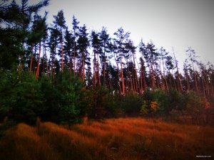 IMG_20180930_124909.jpg