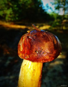 IMG_20180930_125617.jpg