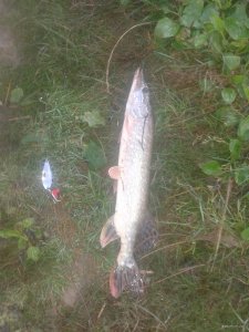 20180930_063706.jpg