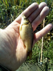 IMG_20180930_132752.jpg