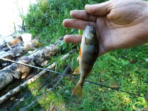 20180930_104025.jpg
