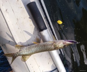 20180929_113345.jpg