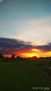 IMG_20180929_161211.jpg