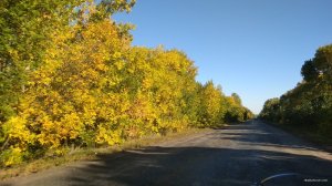IMG_20181001_154701.jpg