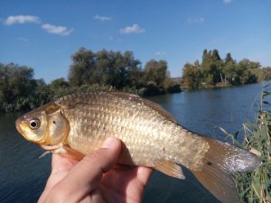 IMG_20181006_120845.jpg
