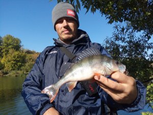 IMG_20181006_102852.jpg