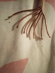 P81006-201830.jpg