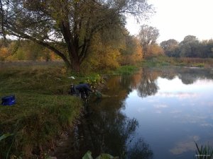 IMG_20181006_072427209.jpg