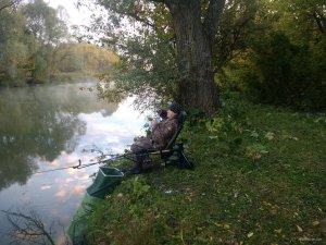 IMG_20181006_065346409.jpg